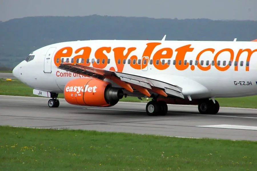 Туристку задержали за нападение на пилота