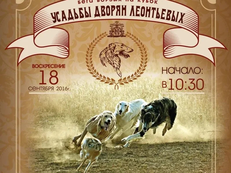 Первые в Ярославской области осенние бега собак борзых пород на Кубок Усадьбы дворян Леонтьевых