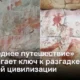 Древние рисунки в тропических лесах Амазонии приоткрывают тайны прошлых цивилизаций