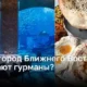 Гурманы выбирают Дубай: лучшие рестораны Ближнего Востока и Северной Африки