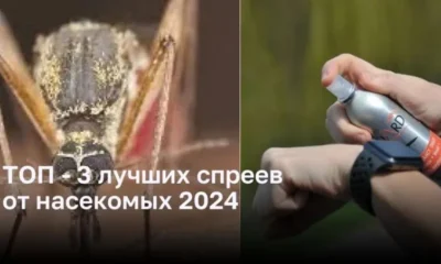 ТОП-3 лучших спреев от насекомых 2024