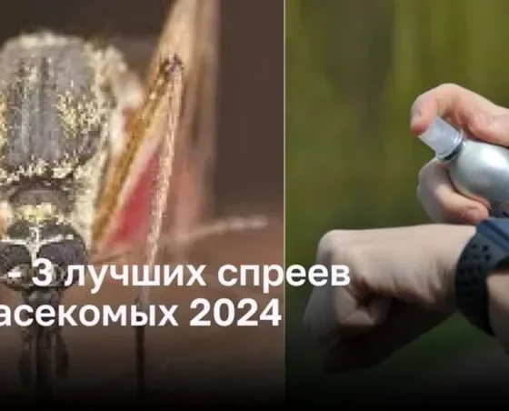 ТОП-3 лучших спреев от насекомых 2024