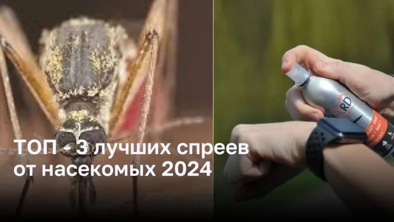 ТОП-3 лучших спреев от насекомых 2024