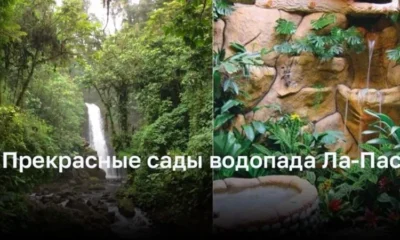 Открой красоту садов водопада Ла-Пас