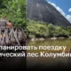 Путешествие в тропический лес Колумбии: как спланировать идеальную поездку