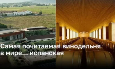 Винодельня «Семья Торрес» признана самой уважаемой винодельней в мире