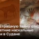 О чём рассказали 5000-летние наскальные рисунки в Судане