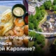 Приключения в Южной Каролине: от гор до пляжей и вкусной еды