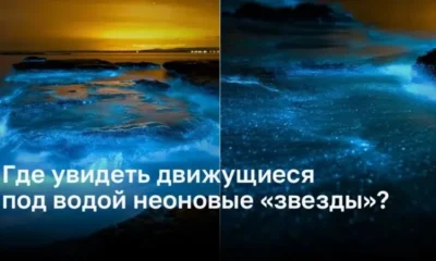 Лучшие места для наблюдения биолюминесценции под водой