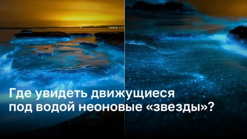 Лучшие места для наблюдения биолюминесценции под водой