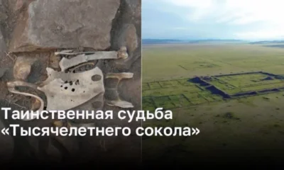 Уникальная история обнаружения «Тысячелетнего сокола»