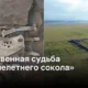 Уникальная история обнаружения «Тысячелетнего сокола»