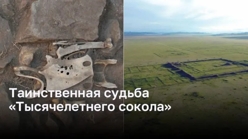 Уникальная история обнаружения «Тысячелетнего сокола»