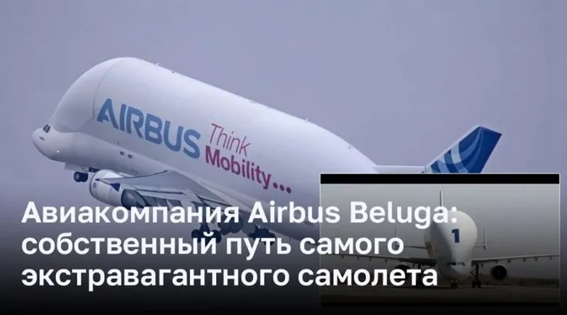 Airbus Beluga: запуск собственной авиакомпании