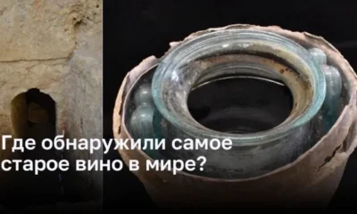 Где обнаружили самое древнее вино в мире?