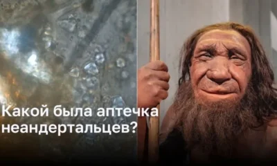 Какой была аптечка неандертальцев?