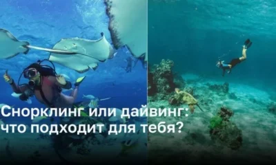 Какое подводное приключение выбрать: снорклинг или дайвинг?