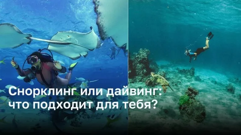 Какое подводное приключение выбрать: снорклинг или дайвинг?