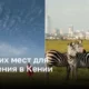 8 главных достопримечательностей Кении