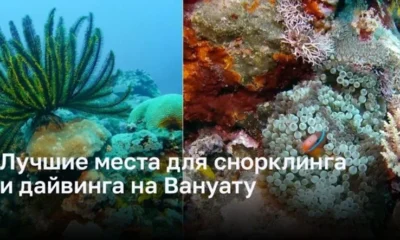 Откройте Подводный Мир Вануату