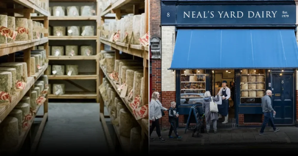 Мошенничество века с сыром в Лондоне: Neal’s Yard Dairy потерял $390,000