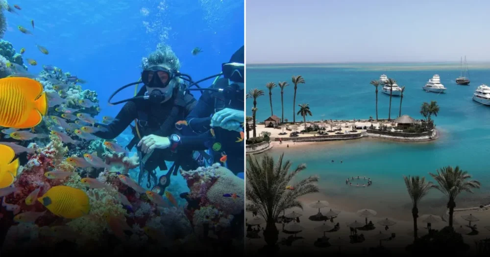 Почему море в Хургаде стало красным: власти объяснили