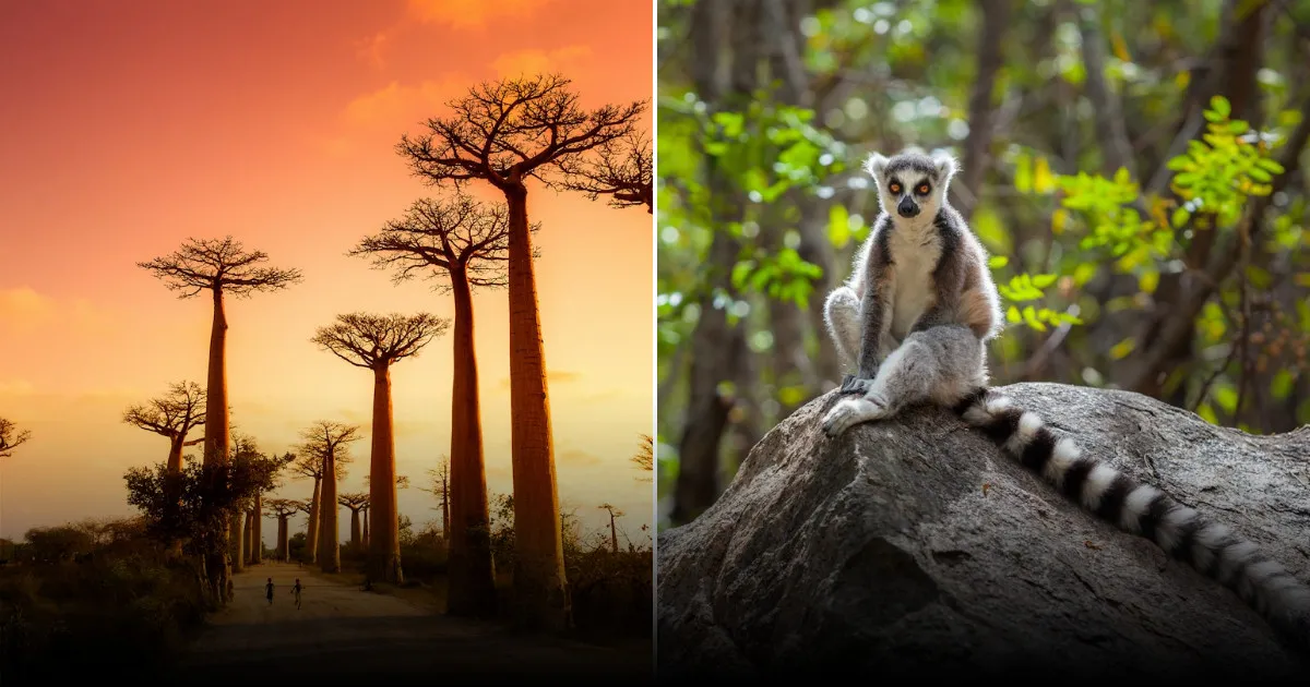 Российские туристы продолжают поездки на Мадагаскар, несмотря на беспорядки