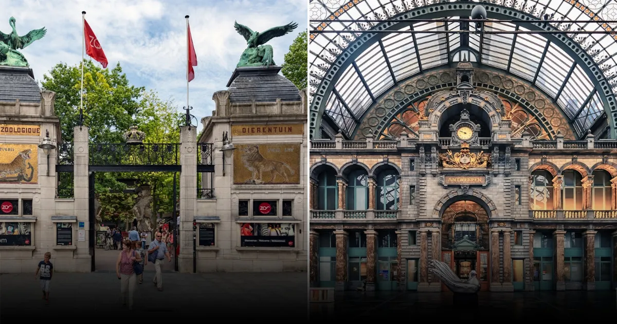 Культурные возможности Антверпена: что стоит посмотреть в городе