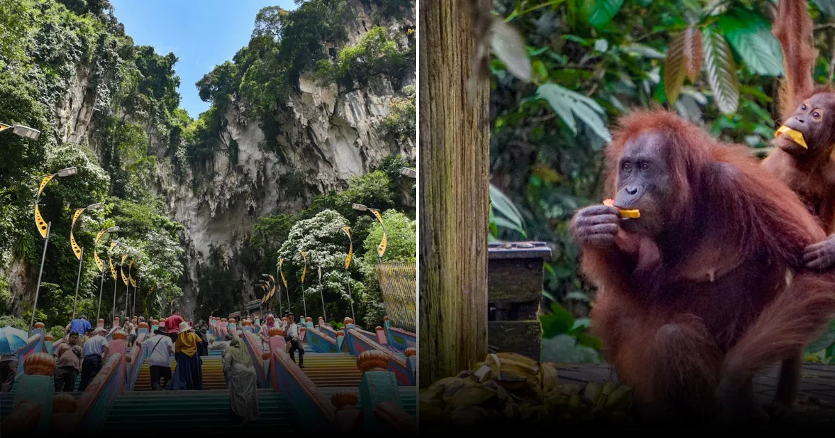 Чем заняться в Малайзии: 15 лучших активностей