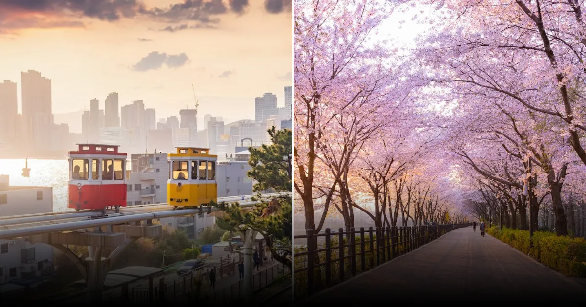 Что нужно знать перед поездкой в Южную Корею