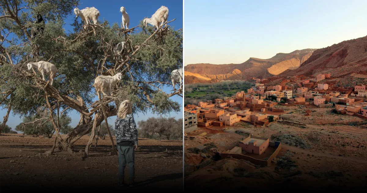 Путешествие на автомобиле по Марокко: 5 самых захватывающих маршрутов