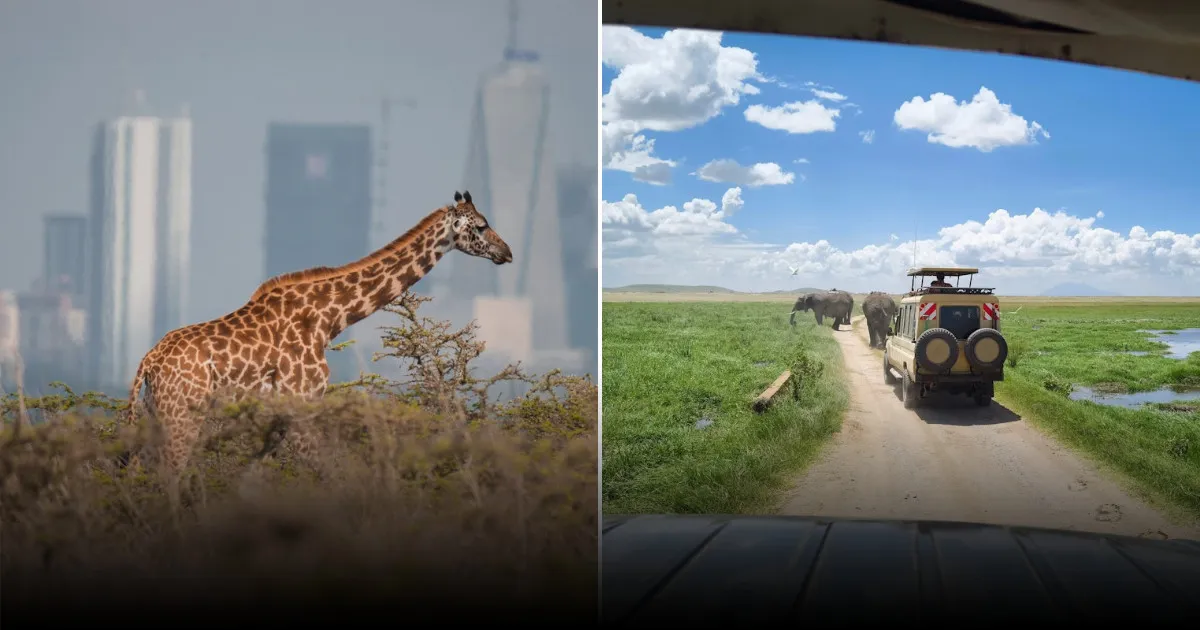 Готовимся к поездке в Кению: что посмотреть и почитать