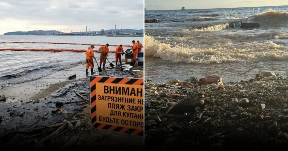 Мазут достиг побережья Туапсе: экологическая катастрофа на Черном море