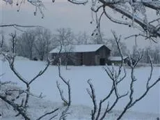 The Country Lodge at Sabbath Song Farm