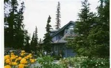 Alaska's North Country Castle B&B