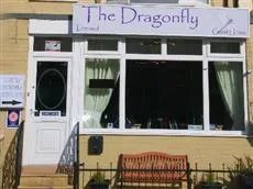 The Dragonfly