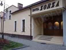 Zorza