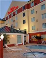 Hilton Garden Inn Tampa Northwest Oldsmar