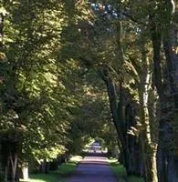 Hotel Lauterbach am See Putbus