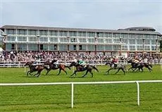 Lingfield Park Marriott Hotel and Country Club