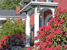 Grape Arbor Bed and Breakfast