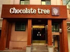 Chocolate Tree Sinchon