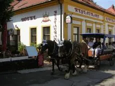 Hotel Koruna Karlstejn