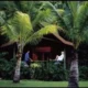 Palm Bungalows