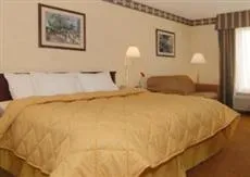 Comfort Inn Baton Rouge