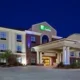 Holiday Inn Express Hotel & Suites Vidor South