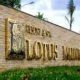 Lotus Muine Resort