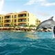 Royal Sea Aquarium Resort