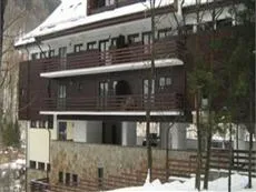 Central Sinaia Apartments & Studios