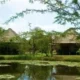 Sefapane Lodge and Safaris